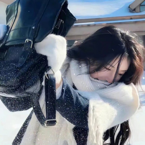 吸血鬼骑士第一季海报