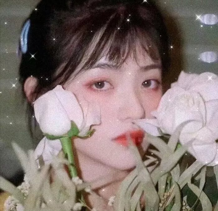 水星领航员第一季海报