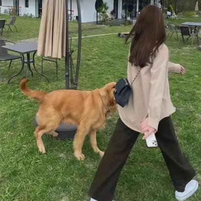 暗芝居第一季海报